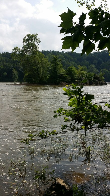 Potomac_River-1