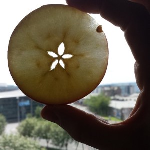 apple-pentagram